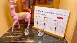 -ROYEA茹彦祛痘·问题肌肤修护中心