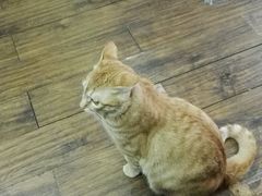 -盛天毛血旺非遗美食(观音桥店)