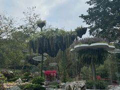 -广州市白云山风景名胜区