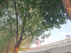 -太原武宿国际机场