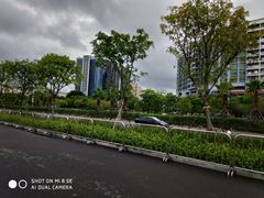 -宝安西湾红树林湿地公园