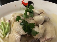 -红星光发煲仔饭(文海店)