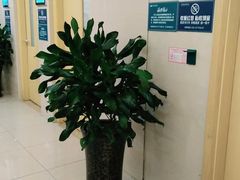 -成都恒博医院·全科检查