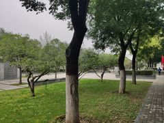 -木塔寺遗址生态公园