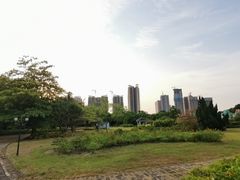 -南沙蒲洲花园
