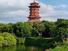 -野草莓自由市场