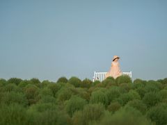 -花开海上生态园