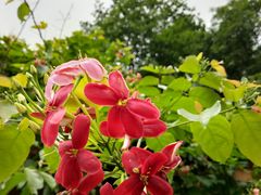 -火炉山森林公园