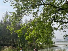 -月湖风景区