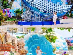 -海合安成都极地海洋公园