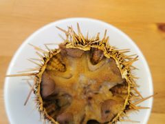 -海胆小馆(东北水饺·春柳店)