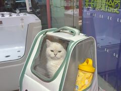 -FAELING PETS美天灵宠物(合生汇店)