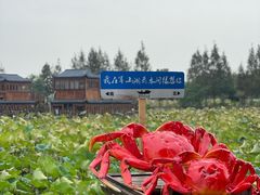 -军山湖云水间水上餐厅(进贤店)