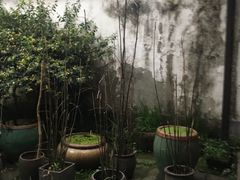 -院子餐厅·大锅菜·老杭帮(桥西直街店)