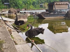 -两江国际影视城