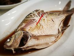 清蒸武昌鱼-亢龙太子酒轩(东湖店)