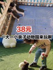 -萌宠亲子动物乐园(槐房万达店)