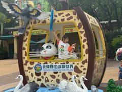 -白虎自助餐厅·真老虎·景观自助餐厅(广州长隆酒店)