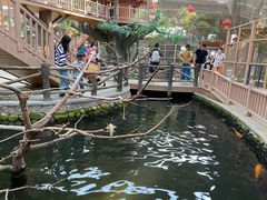 -南宫五洲植物乐园