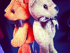 -济州岛泰迪熊博物馆