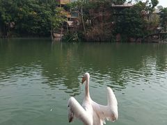 -长鹿旅游休博园