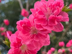 -中国农业博物馆