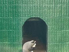 -深圳野生动物园