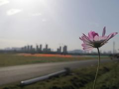 -三圣里·中餐宴请·自助烤肉·烤全羊·柴火鸡(旗舰店)