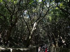 -普陀山慧济禅寺