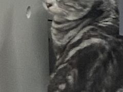 -赛可优数码广告印刷(解放南路店)