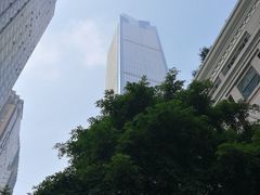 -WFC会仙楼观景台