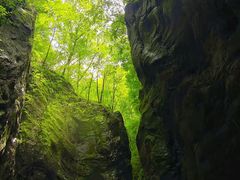 -牛背梁国家森林公园