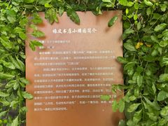 -橡皮书店(翠湖北路店)