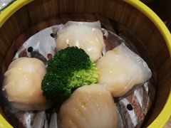 -粤港餐厅(禹州商业广场店)