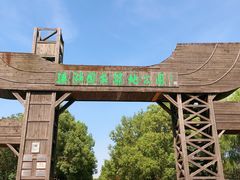 -溱湖国家湿地公园