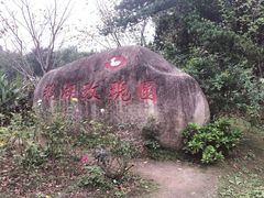 -鹅湖玫瑰文化园