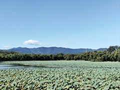 -颐和园