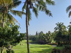 -海南清水湾莱佛士酒店