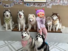 -星多哈·狗咖·拼豆·咖啡