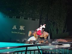 -灵玲国际马戏城