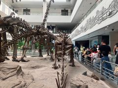 -中国地质大学逸夫博物馆