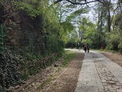 -上海佘山国家森林公园西佘山园