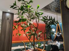 -刘胖子家常菜·蹄花焖藕(中南店)