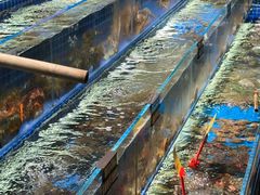 -船家渔(徐州北路店)