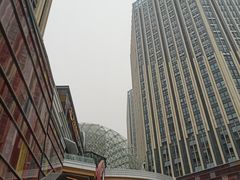 -朗悦公园茂