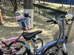 -春风习习