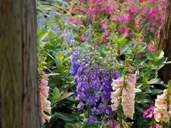 -人民公园(罗湖区)