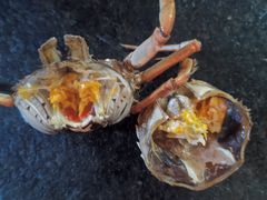 -好爸爸(外滩店)