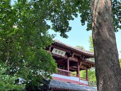 -泉城广场