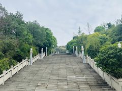 -铁山坪森林公园